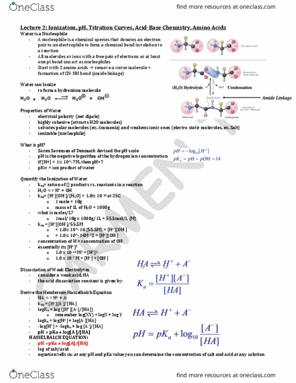 BCH210H1 Lecture Notes - Lecture 2: Electrical Polarity, Pi Bond, Stage Name thumbnail