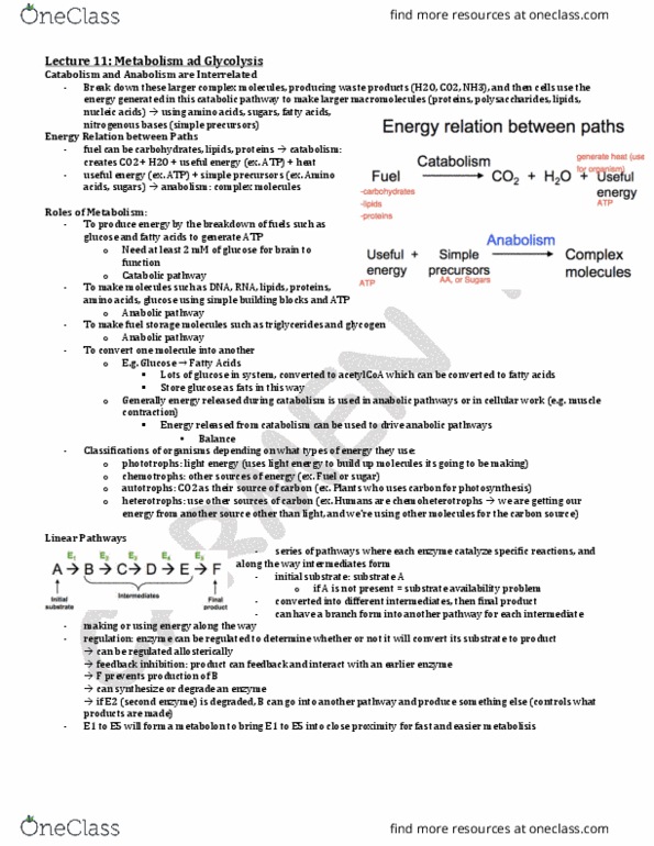 BCH210H1 Lecture 11: Lecture 11 thumbnail