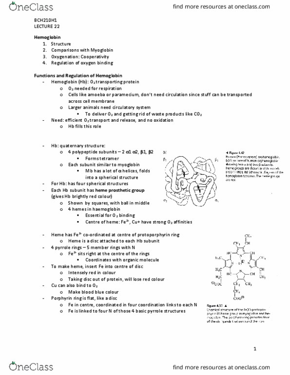 BCH210H1 Lecture 22: BCH210-lecture22 thumbnail