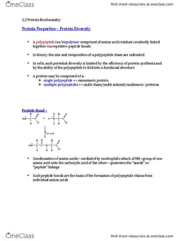 BMB 401 Lecture Notes - Lecture 8: Biopolymer, Covalent Bond, Peptide thumbnail