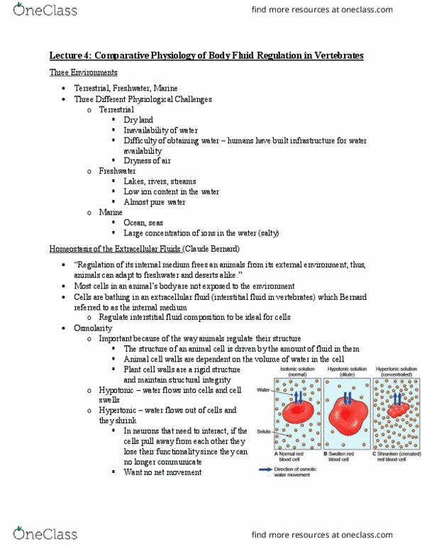 BIOB32H3 Lecture Notes - Lecture 4: Extracellular Fluid, Ocean, Body Fluid thumbnail