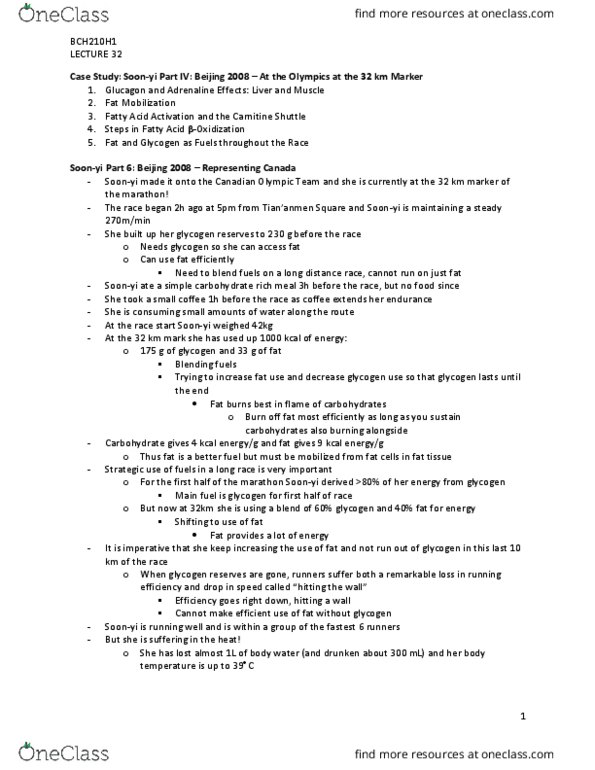 BCH210H1 Lecture Notes - Lecture 32: Monosaccharide, Glycogen, Carnitine thumbnail