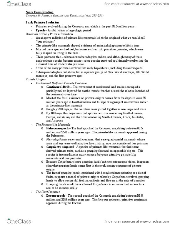 ANT203H5 Chapter Notes - Chapter 9: Carpolestes, Simian, Oligocene thumbnail