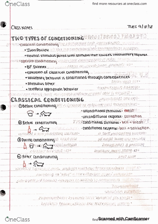 ED PSYCH 331 Lecture 5: conditioning thumbnail