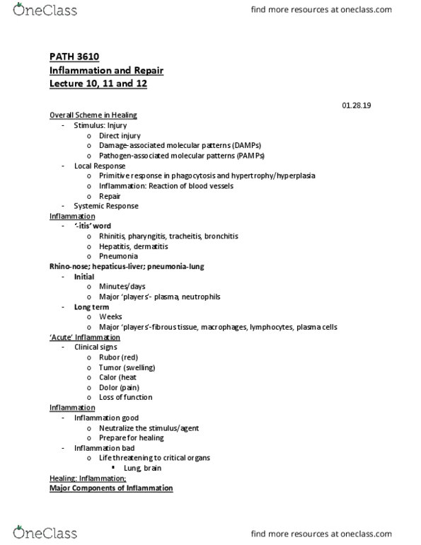 PATH 3610 Lecture Notes - Lecture 10: Tracheitis, Rhinitis, Bronchitis thumbnail