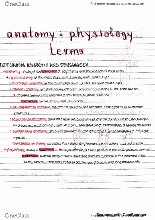 CS&D 201 Lecture 2: anatomy and physiology terms thumbnail