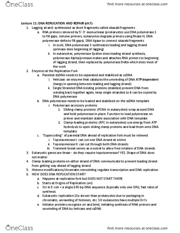 CAS BI 203 Lecture Notes - Lecture 11: Dna Polymerase Iii Holoenzyme, Okazaki Fragments, Dna Polymerase thumbnail