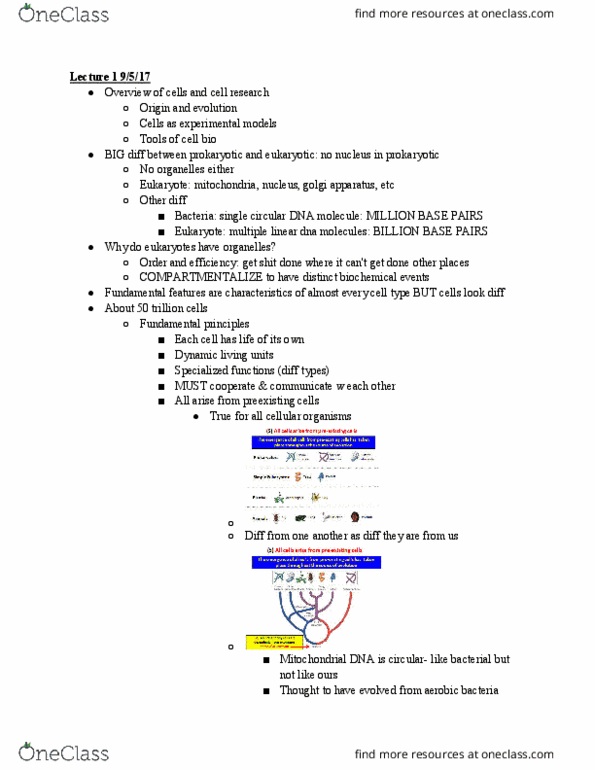 CAS BI 203 Lecture Notes - Lecture 94: Golgi Apparatus, Eukaryote, Prokaryote thumbnail