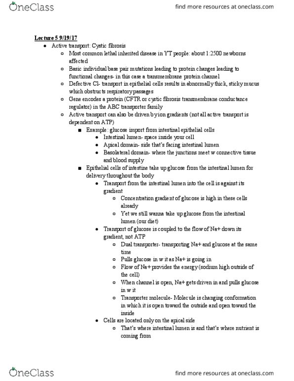 CAS BI 203 Lecture Notes - Lecture 96: Transmembrane Protein, Glucose Transporter, Atp-Binding Cassette Transporter thumbnail