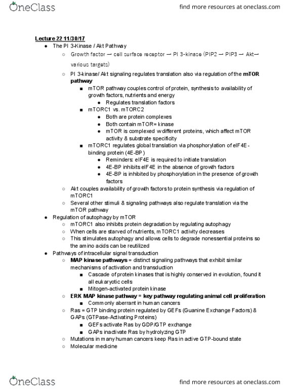 CAS BI 203 Lecture Notes - Lecture 22: Eif4Ebp1, Eif4E, Protein Kinase thumbnail