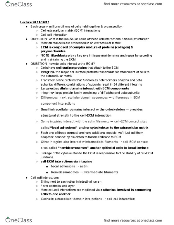 CAS BI 203 Lecture Notes - Lecture 20: Intermediate Filament, Integrin, Hemidesmosome thumbnail