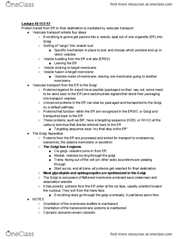 CAS BI 203 Lecture Notes - Lecture 18: Vesicle Fusion, Signal Peptide, Cell Membrane thumbnail