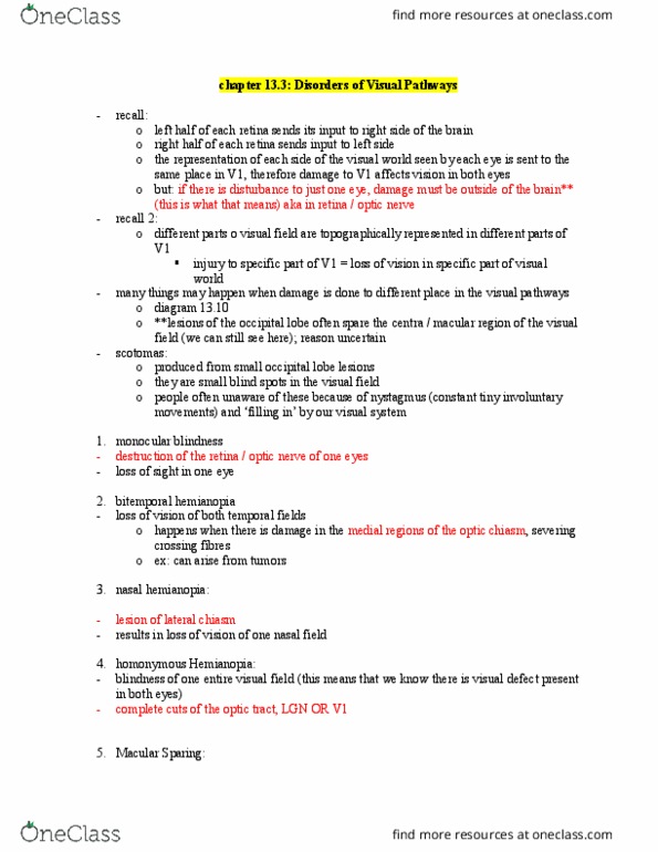 PSYCH 2NF3 Chapter Notes - Chapter 13: Bitemporal Hemianopsia, Optic Chiasm, Hemianopsia thumbnail