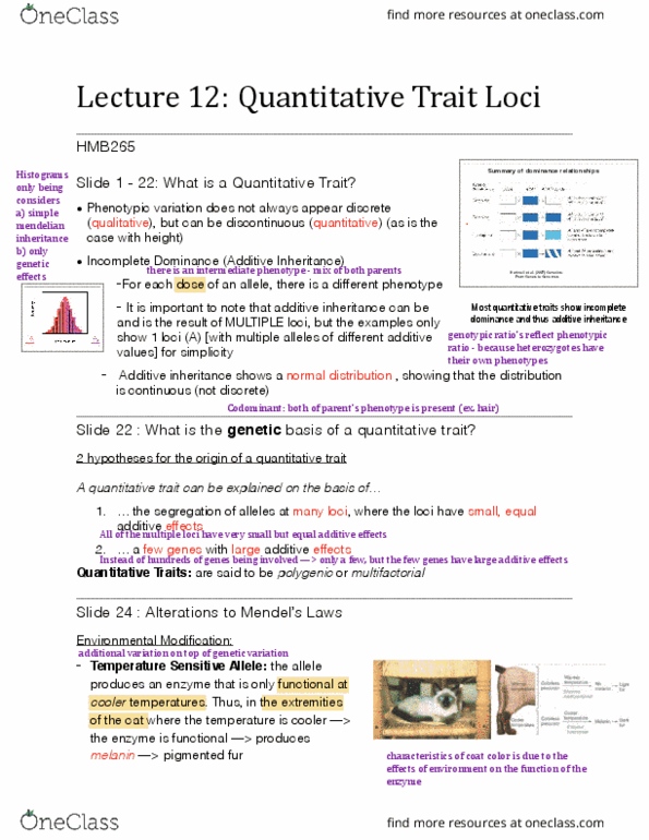 HMB265H1 Lecture Notes - Lecture 12: Melanin, Phenotype, Allele thumbnail