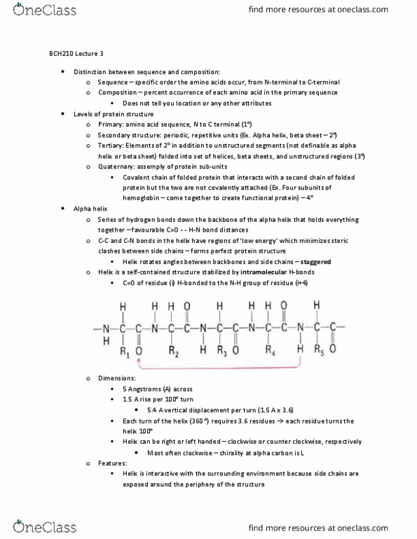 BCH210H1 Lecture Notes - Lecture 3: Alpha Helix, Beta Sheet, Alpha And Beta Carbon thumbnail
