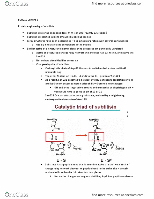 BCH210H1 Lecture Notes - Lecture 8: Serine Protease, Subtilisin, Imidazole thumbnail