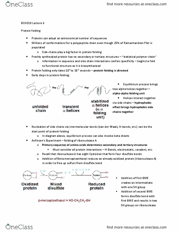 BCH210H1 Lecture Notes - Lecture 6: Disulfide, Alpha Helix, Pancreatic Ribonuclease thumbnail