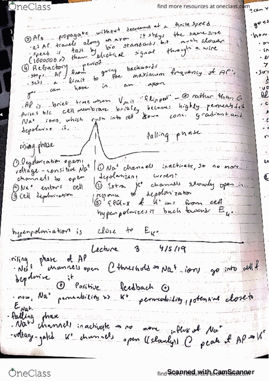 BIO SCI N110 Lecture 3: Week 1 Friday thumbnail