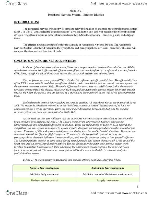 PHYL 1010X Chapter Notes -Acetylcholine, Midbrain, Adrenergic thumbnail