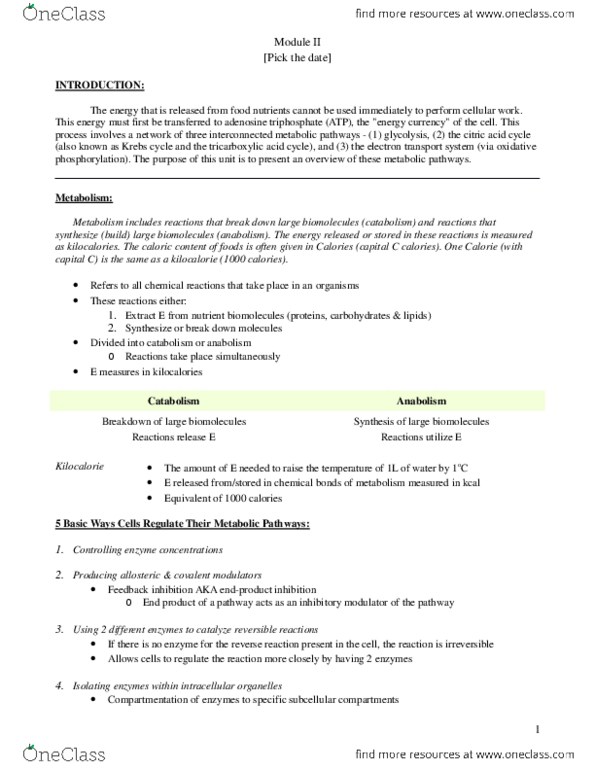 PHYL 1010X Chapter Notes -Anabolism, Catabolism, Glycolysis thumbnail