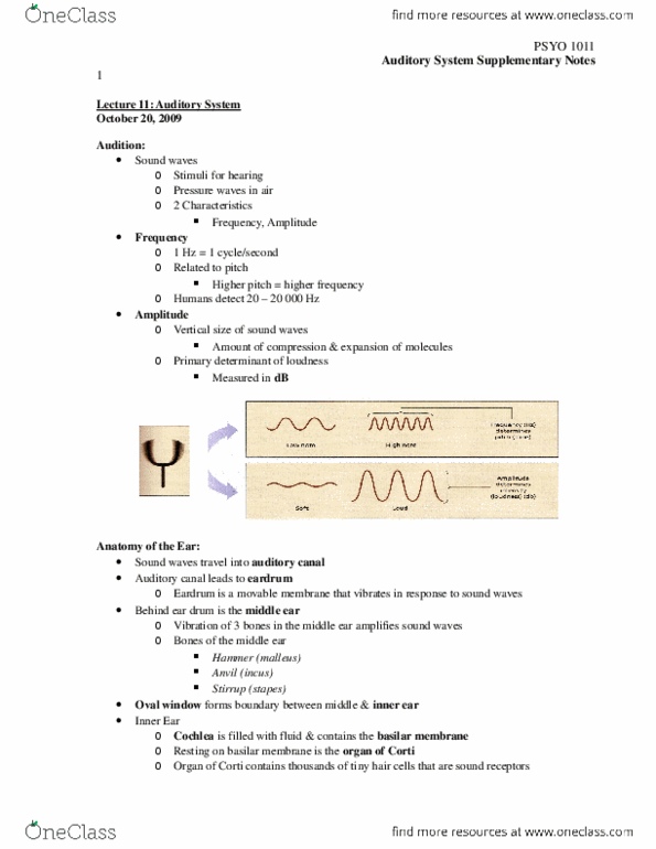 PSYO 1011 Lecture Notes - Lecture 11: Incus, Stapes, Stirrup thumbnail