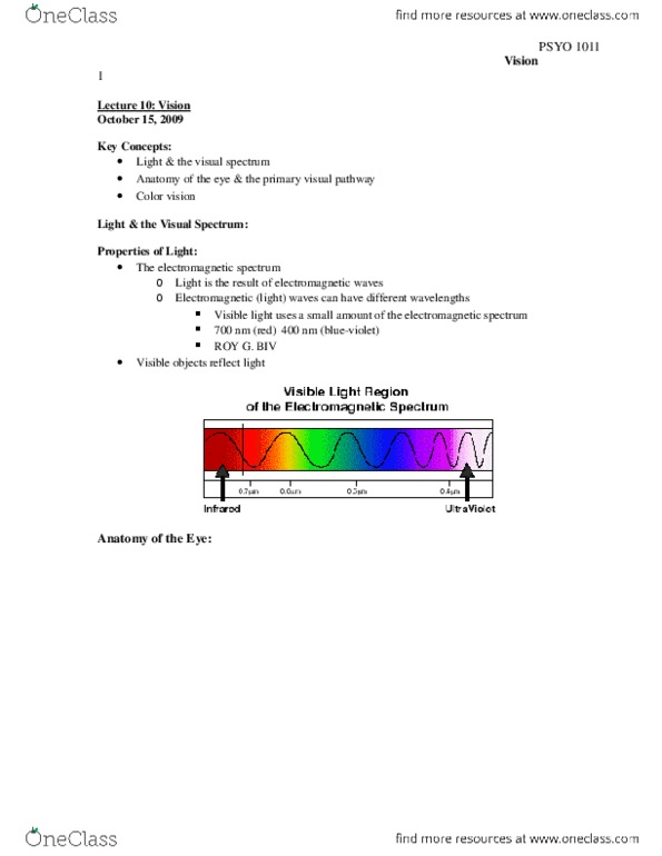 PSYO 1011 Lecture Notes - Lecture 10: Retina, Far-Sightedness, Olfaction thumbnail