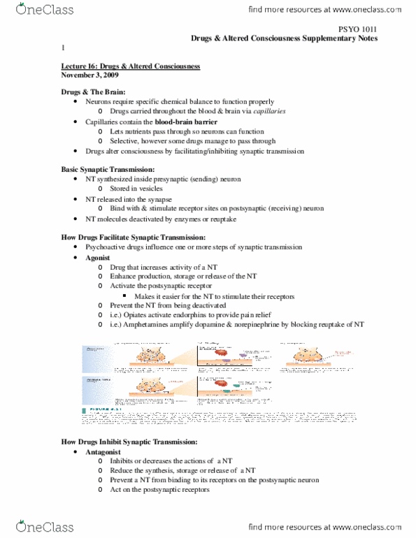 PSYO 1011 Lecture Notes - Lecture 16: Hallucinogen, Barbiturate, Agonist thumbnail