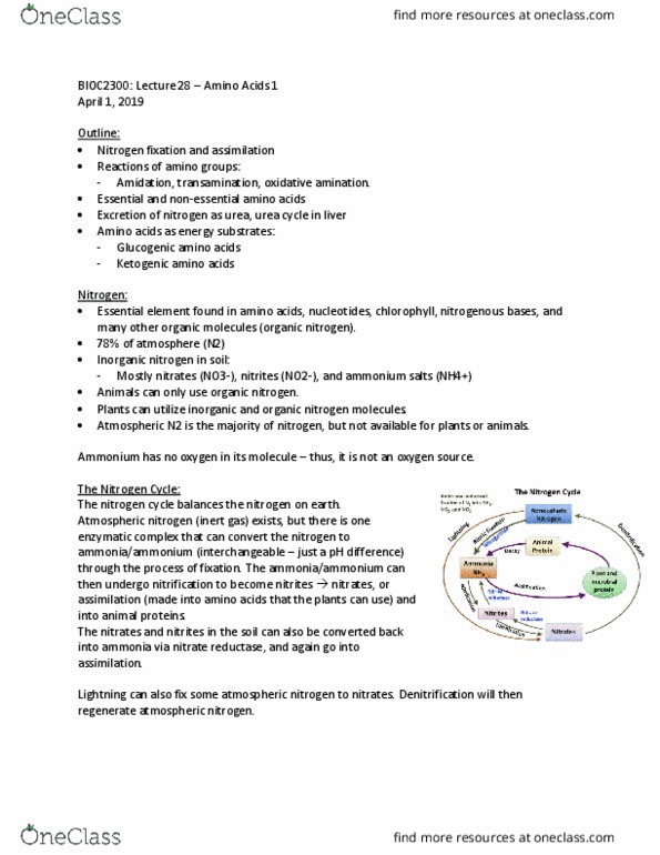 BIOC 2300 Lecture Notes - Lecture 28: Nitrate Reductase, Nitrogen Fixation, Nitrogen Assimilation thumbnail