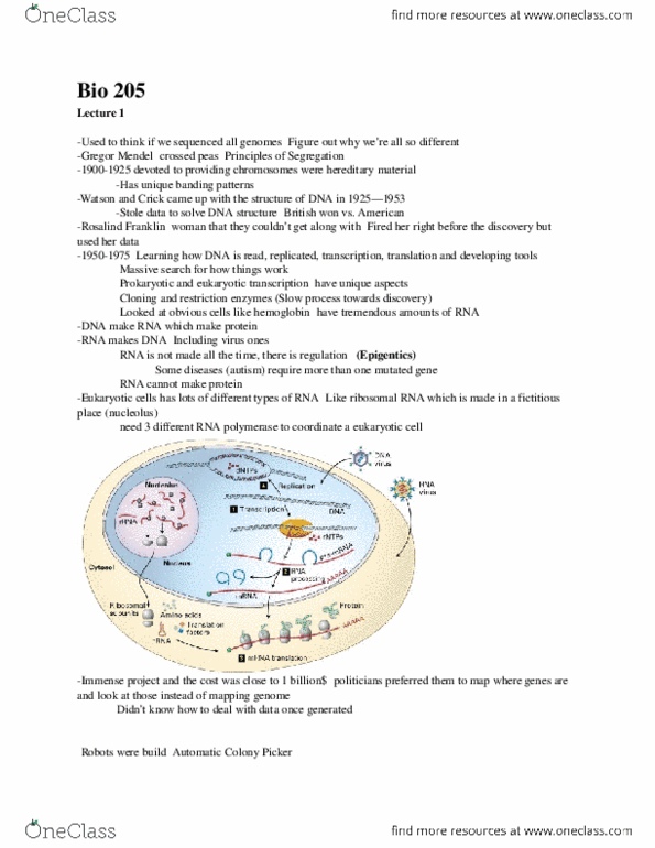 BIOL 205 Chapter Notes -Nucleolus, Microrna, Optogenetics thumbnail