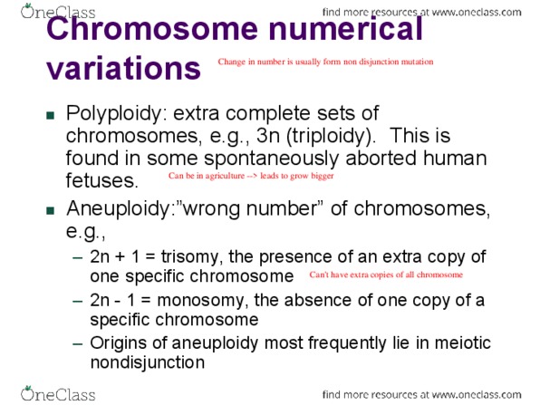 BIOL 205 Lecture Notes - Lecture 8: Nondisjunction, Down Syndrome, Turner Syndrome thumbnail