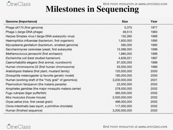BIOL 205 Lecture Notes - Lecture 12: Whole Genome Sequencing, Human Genome Project, Celera Corporation thumbnail