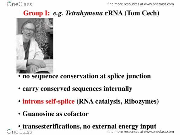 BIOL 205 Chapter Notes -Group Ii Intron, Small Nuclear Rna, Ribozyme thumbnail