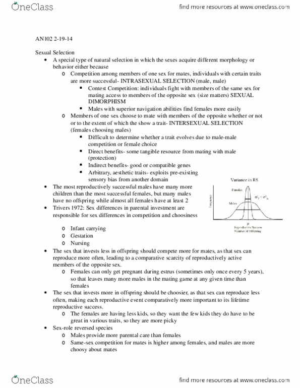 CAS AN 102 Lecture Notes - Gestation thumbnail