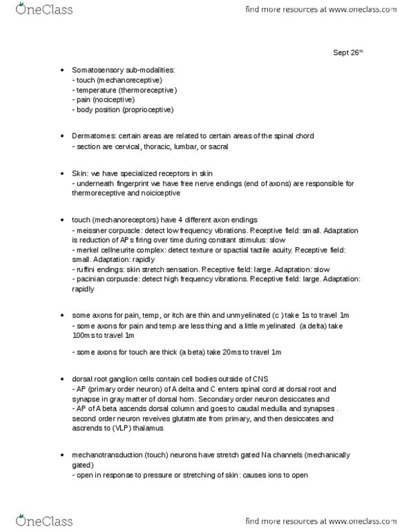 BIOL 4370 Lecture Notes - Dorsal Root Ganglion, Lamellar Corpuscle, Posterior Grey Column thumbnail