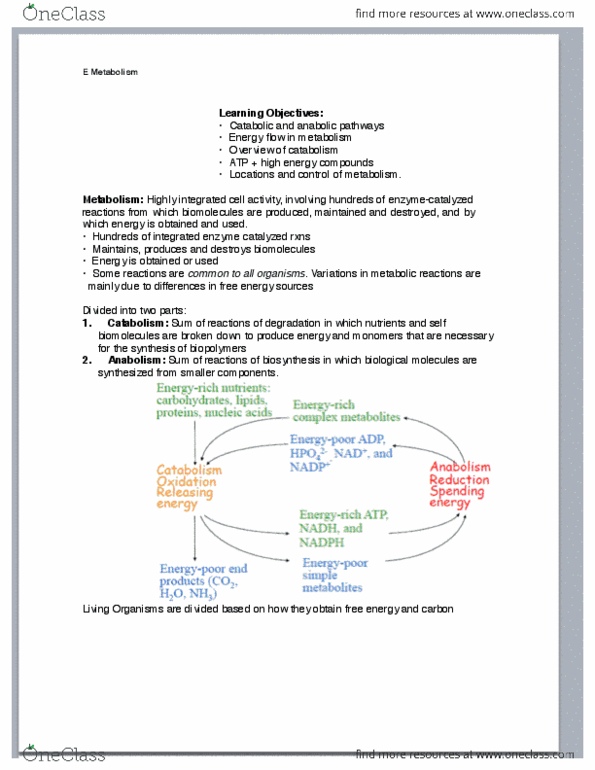 BIOCHEM 2EE3 Lecture Notes - Antoine Lavoisier, Metabolic Pathway, Cellular Respiration thumbnail