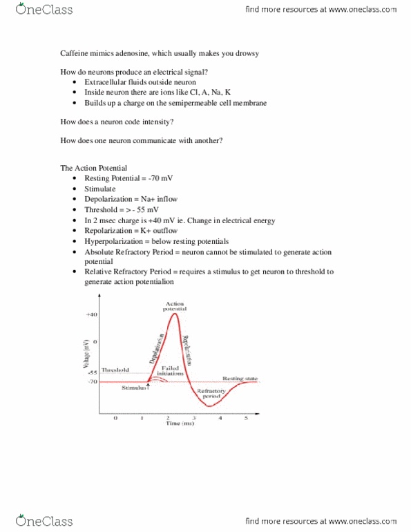 Psychology 1000 Lecture Notes - Serotonin, Thermoregulation thumbnail