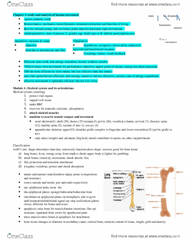 Kinesiology 2241A/B Chapter : biomechanic noteT1.docx thumbnail