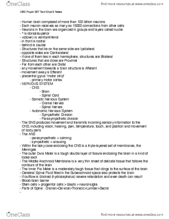 PSYC 207 Lecture Notes - Autonomic Nervous System, Anatomical Terms Of Location, Human Brain thumbnail