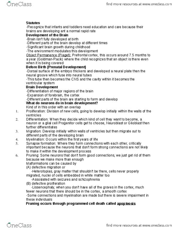 PSB-2000 Lecture Notes - Prefrontal Cortex, Neural Groove, Progenitor Cell thumbnail