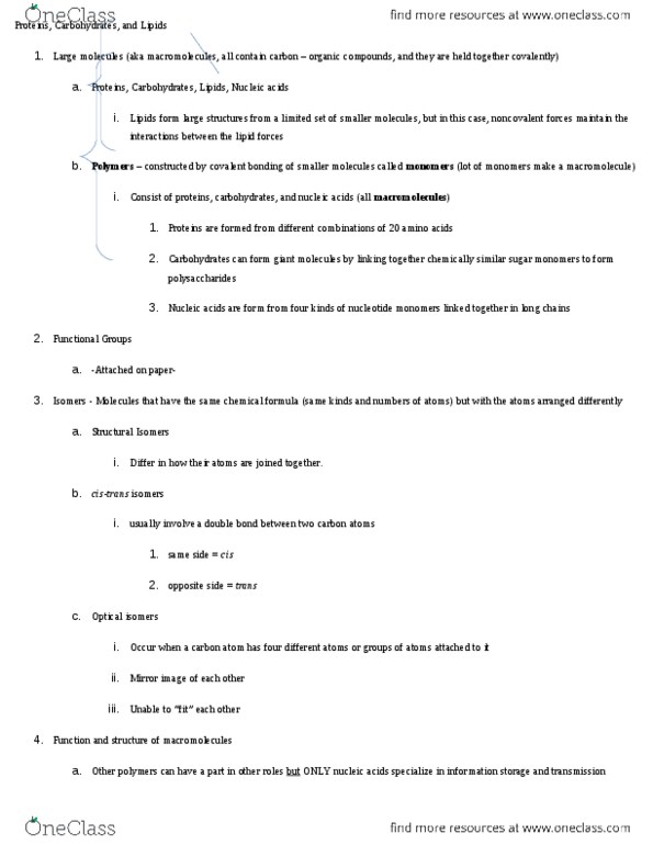 CAS BI 108 Chapter Notes - Chapter 3: Disulfide, Beta Sheet, Amine thumbnail
