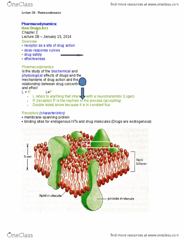 PSYC 3403 Lecture Notes - Monoamine Oxidase, Alpha Helix, Basketligan thumbnail