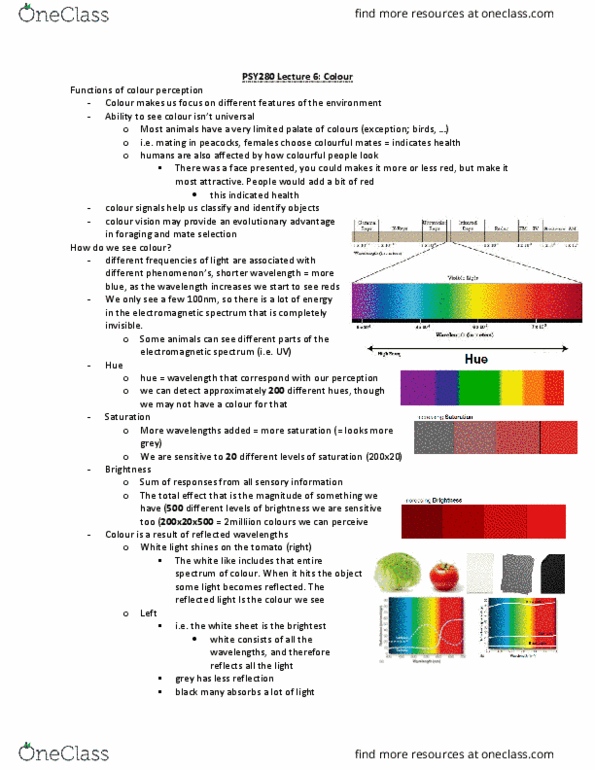 PSY280H5 Lecture Notes - Lecture 7: Electromagnetic Spectrum, Red, Color Vision thumbnail