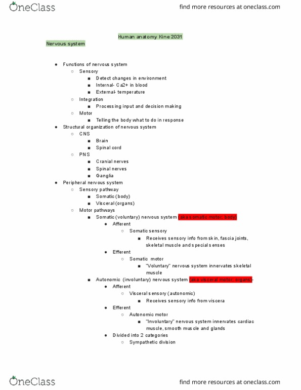 KINE 2031 Lecture 3: Nervous System 3 thumbnail