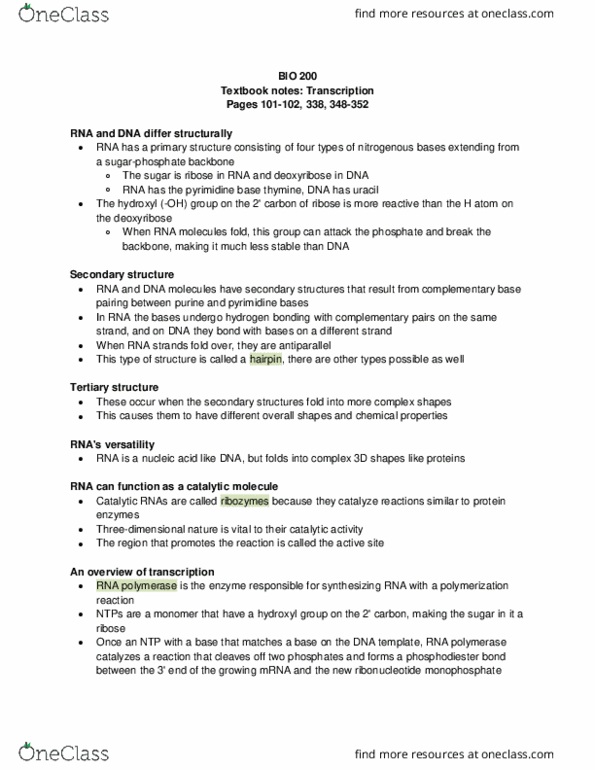 BIOL 200 Chapter Notes - Chapter Pgs 101-102, 338, 348-352: Phosphodiester Bond, Ribose, Hydrogen Bond thumbnail