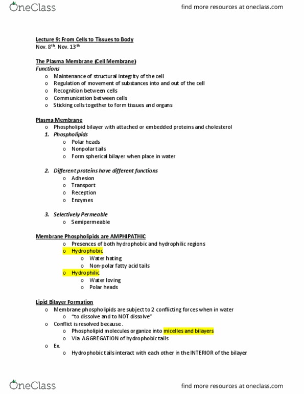 NATS 1610 Lecture Notes - Lecture 9: Lipid Bilayer, Cell Membrane, Micelle thumbnail