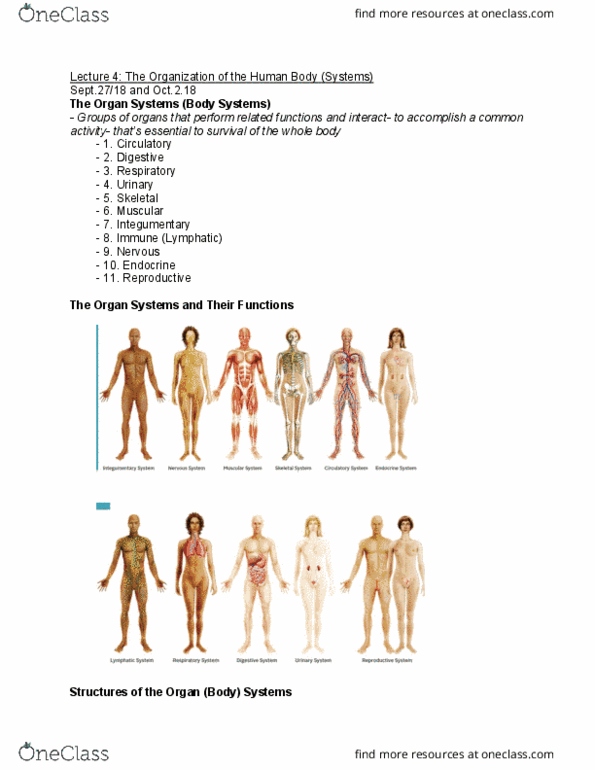 NATS 1610 Lecture Notes - Lecture 4: Integumentary System, Muscular System, Endocrine System thumbnail