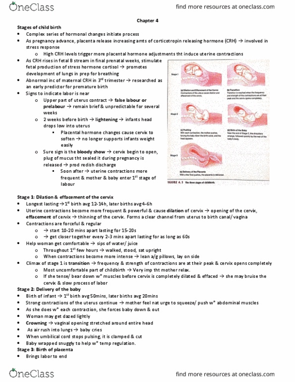 PSYCH211 Chapter Notes - Chapter 4: Umbilical Cord, Low Birth Weight, Preterm Birth thumbnail