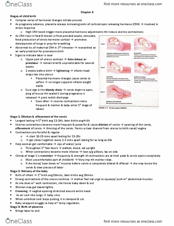 PSYCH211 Chapter Notes - Chapter 4: Corticotropin-Releasing Hormone, Umbilical Cord, Low Birth Weight thumbnail