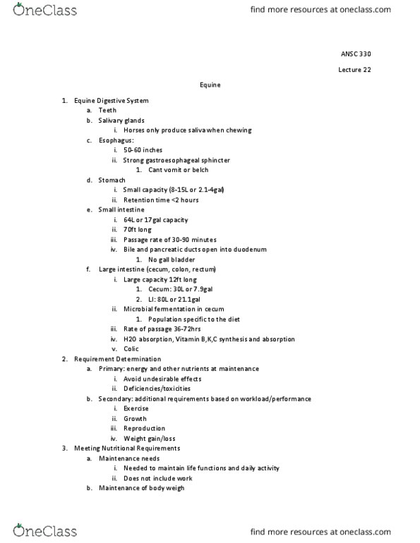 ANSC 330 Lecture Notes - Lecture 22: Salivary Gland, Cecum, Small Intestine thumbnail
