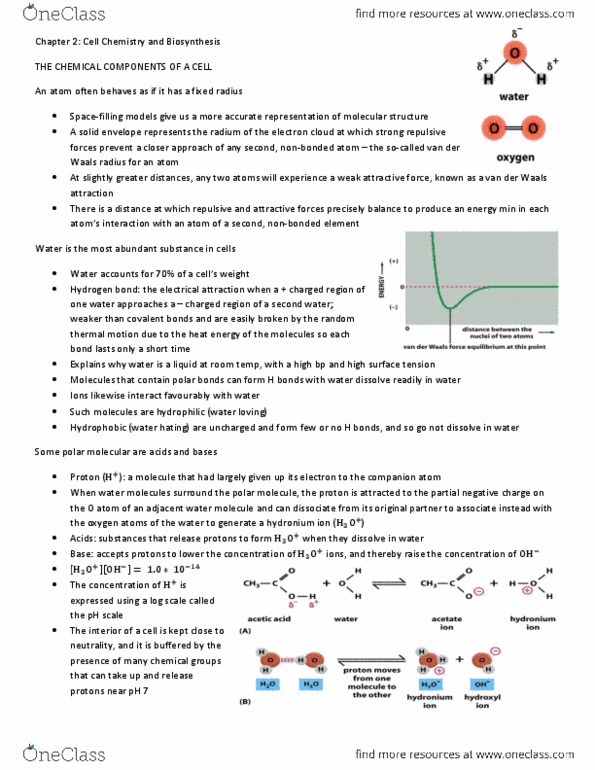 CHM101H1 Chapter Notes -Chemical Polarity, Protein Subunit, Phosphodiester Bond thumbnail